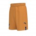 TSG Mens Third Shorts 2023-24