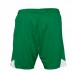 SV Werder Bremen Mens Home Shorts 2022-23