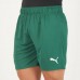Palmeiras Men's Away Shorts 23-24