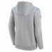 Green Bay Packers Men's Nike Gray Sideline Athletic Stack Performance Pullover Hoodie