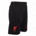 LFC Third Shorts 2020 2021