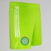 Celtic Goalkeeper Away Shorts 23-24