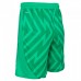 Blackpool Fc Goalkeeper Home Shorts 23-24