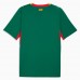 Senegal Mens Away Jersey 2026