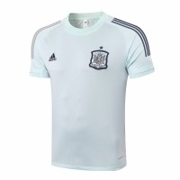 Spain Training Green Jersey 2020