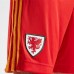 Wales 2020 Home Kit - Kids