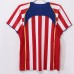 Atletico Madrid Home Retro Jersey 2004-05